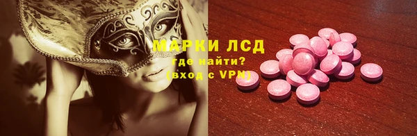 крисы Надым