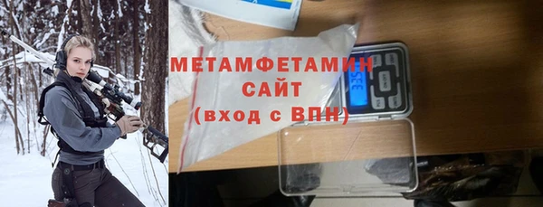 сатива Новозыбков