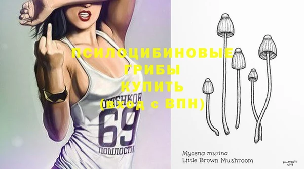 прущие крисы Нефтекумск
