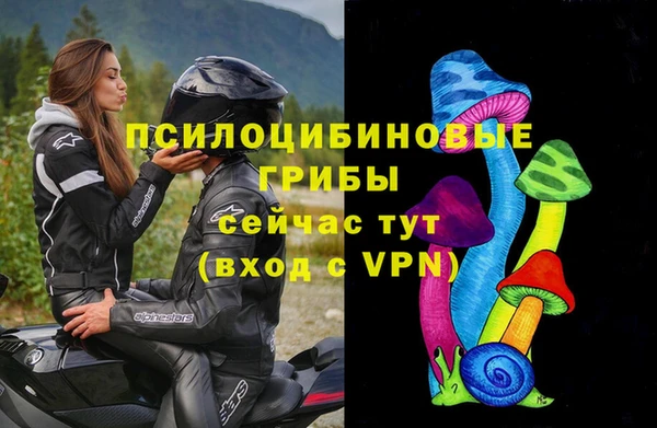 соль ск Новокубанск