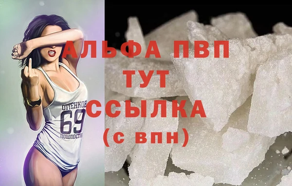 сатива Новозыбков