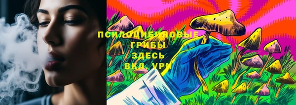 соль ск Новокубанск