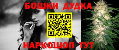 сатива Аргун