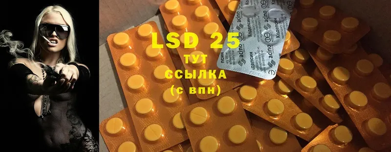 LSD-25 экстази кислота Кингисепп