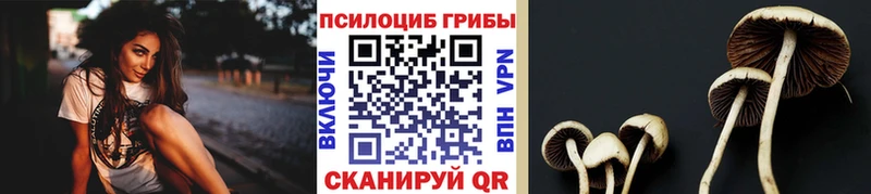 купить наркотики цена  Кингисепп  даркнет как зайти  Галлюциногенные грибы ЛСД 