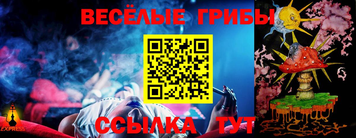 Псилоцибиновые грибы MAGIC MUSHROOMS  Вход с VPN  Кингисепп 