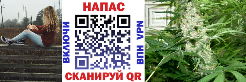 Каннабис OG Kush  Кингисепп 